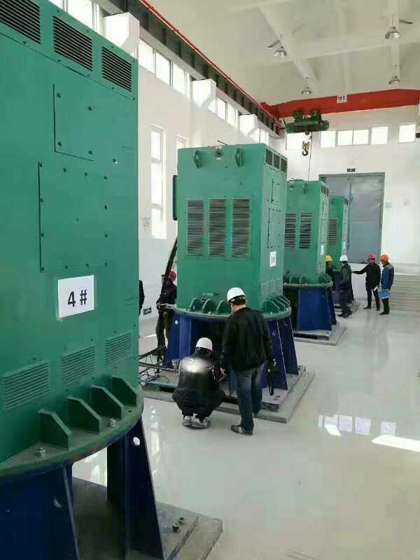 YRKK5002-6/560KW某污水处理厂使用我厂的立式高压电机安装现场